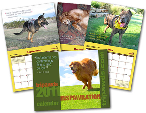 Download and Print Free 2011 Tripawds Calendar