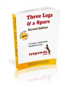 Three Legged Care Dog E-book