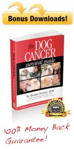 Dog Cancer Survival Guide Kit