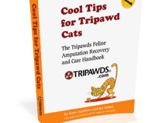 Download Three Legs and a Spare Revised eBook mockbook3_trikitties