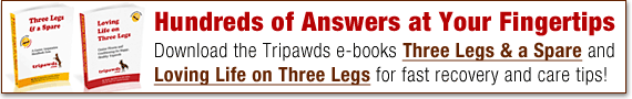 Tripawds E-books Library Fast Dog Amputation Help