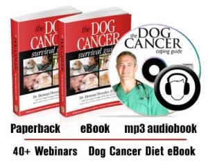 Dog Cancer Kit