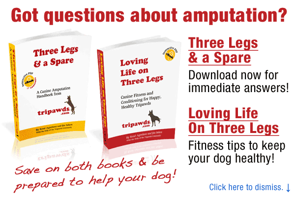 Tripawds Ebooks