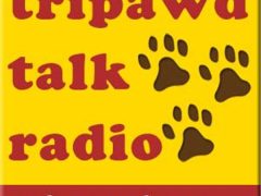 Emergency Amputation for Dogs and Cats: Things to Consider in the #ANIMALER TripawdTalkRadioLogo
