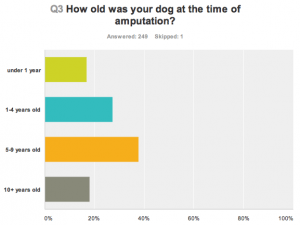 qolgraph-dog1