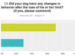 Tripawds Quality of Life Survey Tells All qolgraph-dog2