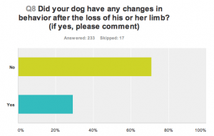 qolgraph-dog2