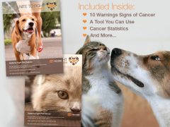 Free Kit Helps You Identify Potential Pet Health Concerns Unite To Fight Pet Cancer Info Kit