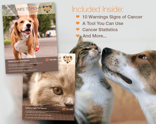 Unite To Fight Pet Cancer Info Kit