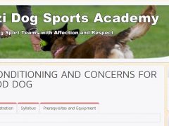 Enroll Now for Online Tripawd Conditioning School Fenzi