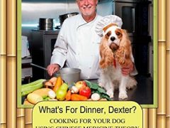 Free Videos Teach Easy, Affordable Holistic Pet Food Recipes easy home cooking pet food
