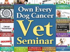 Fight Dog Cancer with Dr. Dressler’s Survival Guide Book and Podcasts dog cancer guide