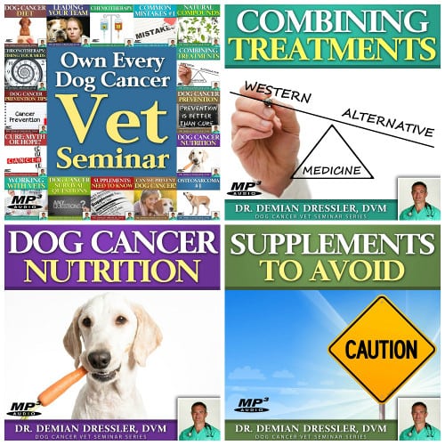 dog cancer nutrition