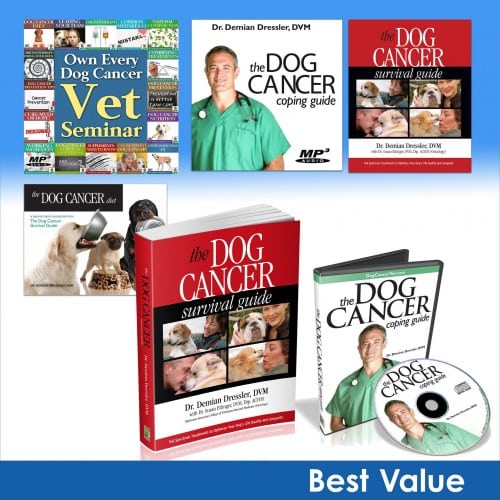 dog cancer guide