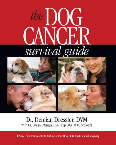 dog cancer guide