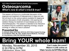 Osteosarcoma Webinar: What’s new, what’s tried & true? osteosarcoma dogs treatment