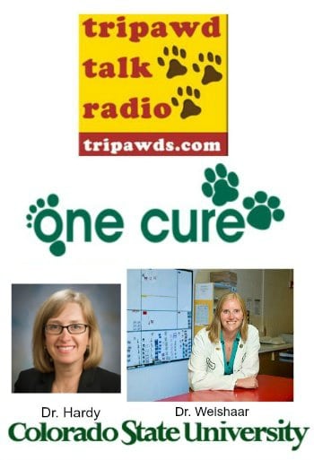 CSU One Cure Comparative Oncology