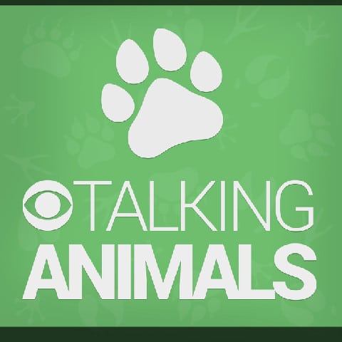 talking animals