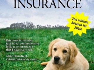 pet health insurance guide
