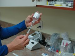 Guide to Understanding Vaccines for Dogs and Cats understanding vaccines for cats and dogs