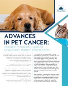 pet cancer treatment