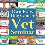 The Dog Cancer Survival Kit - Image 2