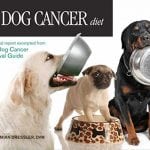 The Dog Cancer Survival Kit - Image 3