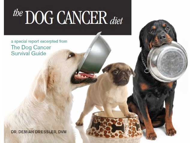 dr dressler dog cancer