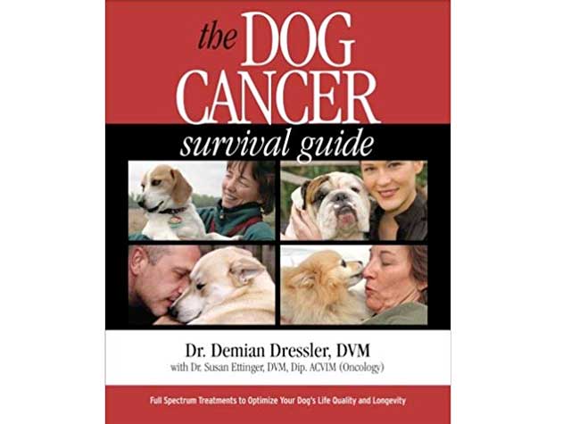 Dog Cancer Survival Guide