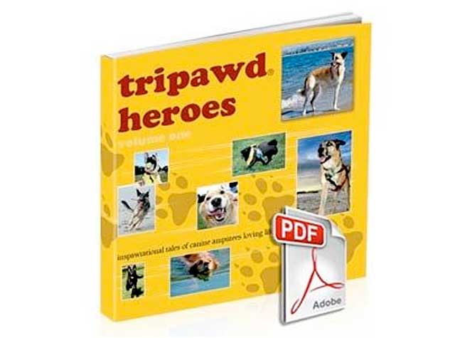 Tripawd Heroes Three Legged Dog E-book