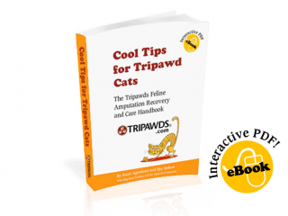 Cool Tips for Tripawd Cats Ebook