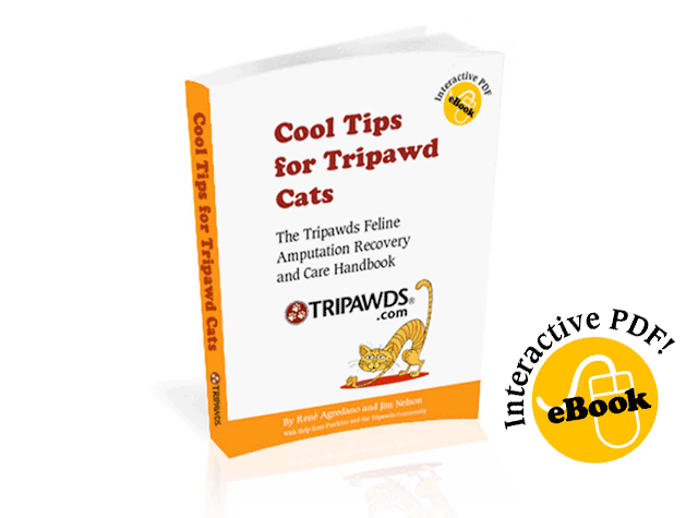 Cool Tips for Tripawd Cats Book