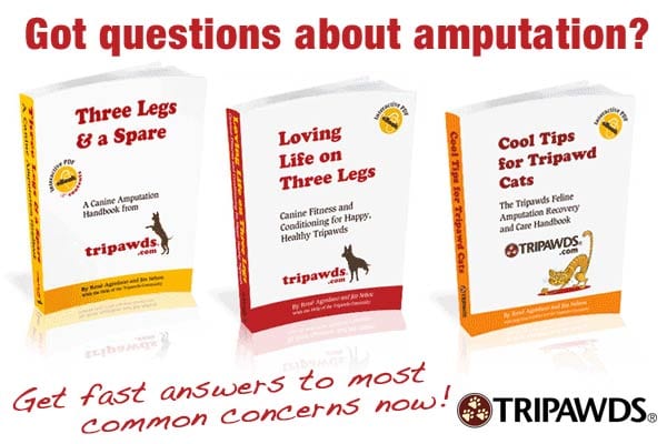 tripawds ebooks