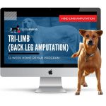 Canine Rehab On Demand for Tripawds