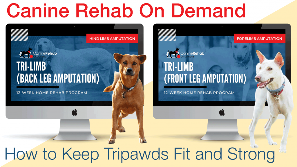 get Tripawds stronger