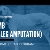 Canine Rehab On Demand for Tripawds