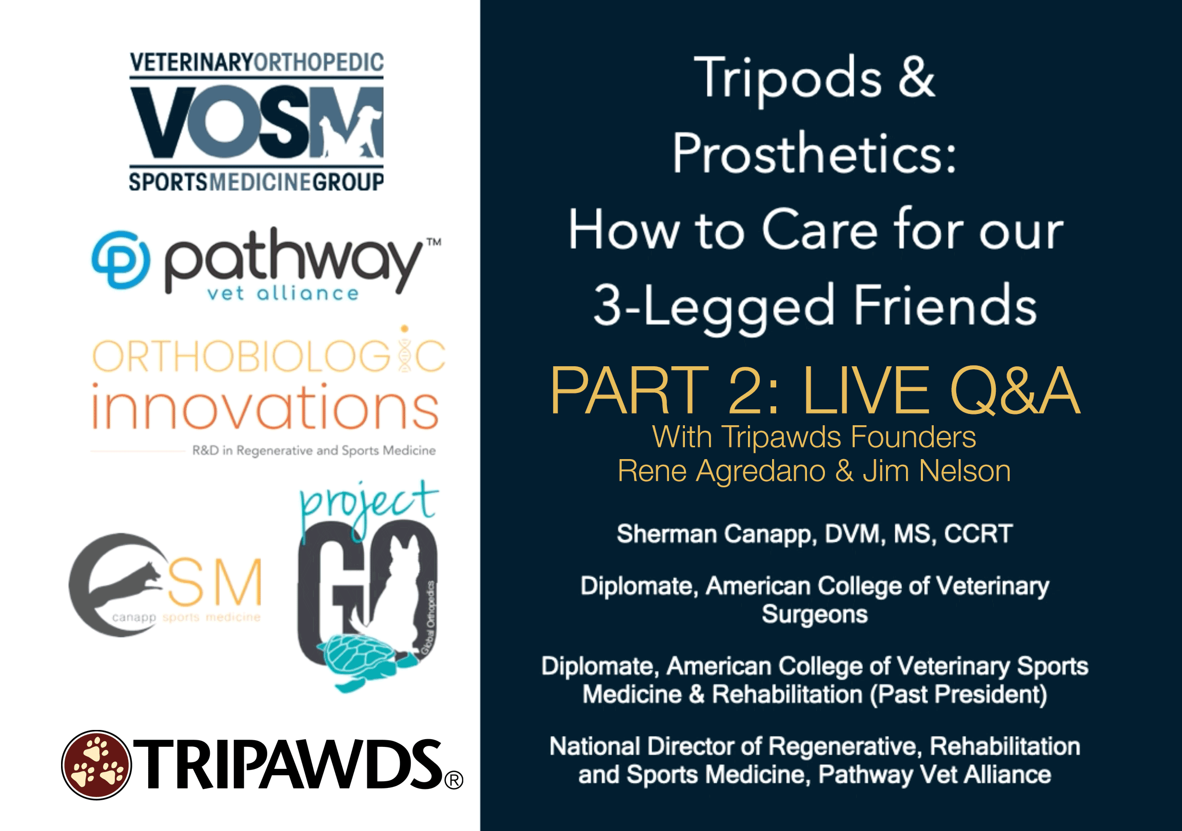 Tripawds and Prosthetics