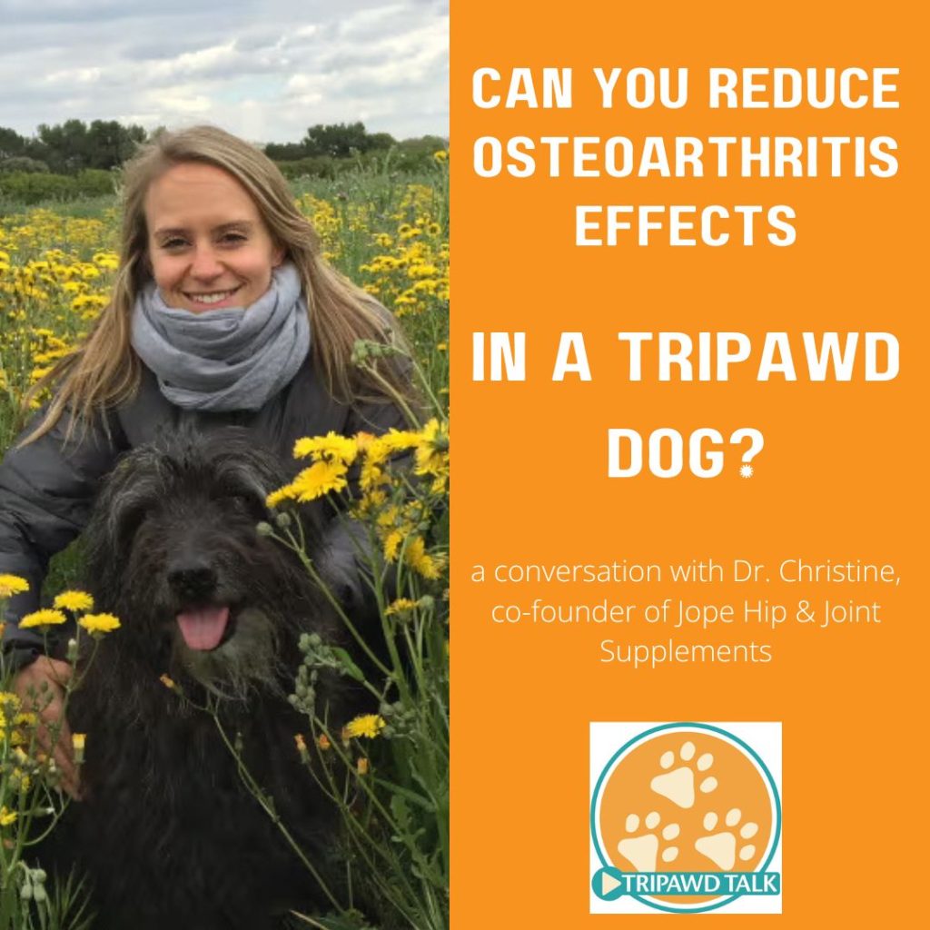 What's the best way to help a Tripawd with osteoarthritis?