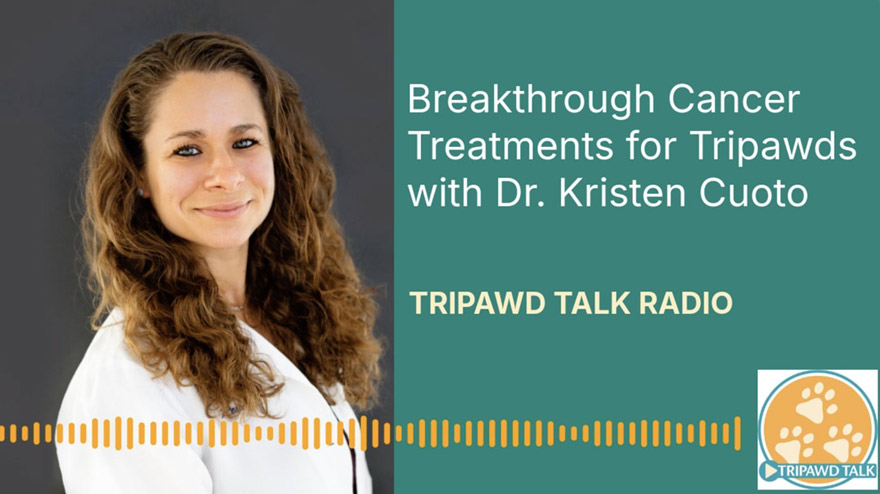 TTR129 Dr. Kristen Couto Veterinary Oncologist