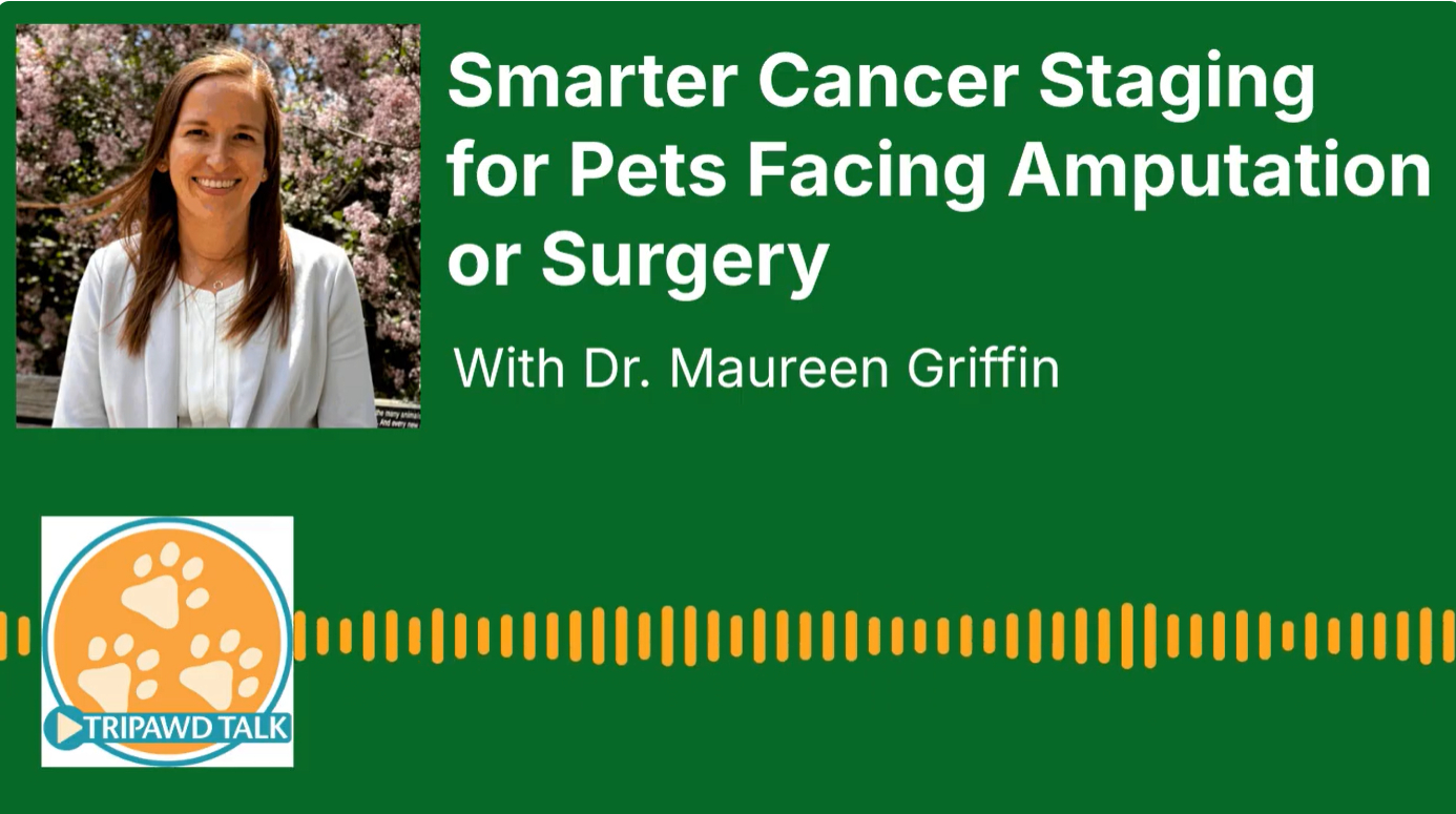 Tripawd Talk Radio with Dr. Maureen Griffin, a surgical oncologist at Colorado State University's Flint Animal Cancer Center.