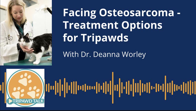 Tripawd Talk 136