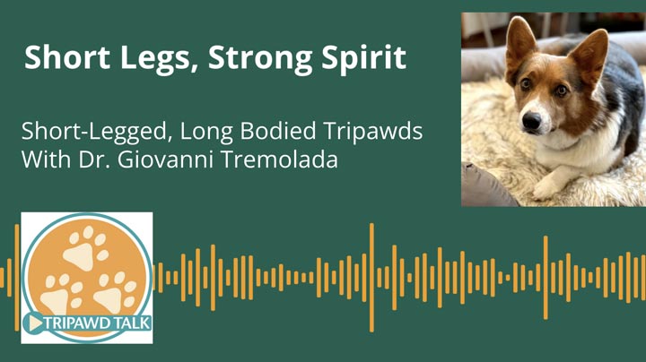 Tripawd Talk Radio