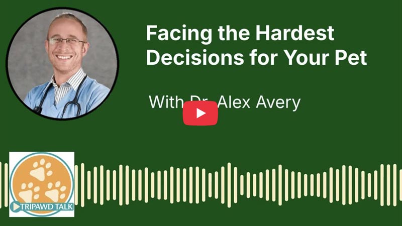 Tripawd Talk #139: Facing the Hardest Decisions for Your Pet with Dr. Alex Avery of Our Pet's Health
